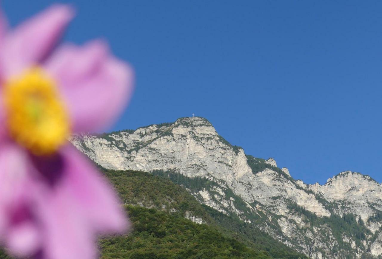 Sonnenhof Ferienwohnungen Tramin an der Weinstraße Exterior foto